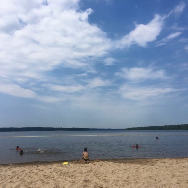 Top 5 Family Friendly ActivitiesRaleigh NC Mom the Magnificent