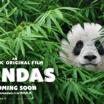 PANDAS Return to IMAX~ Win Tickets!