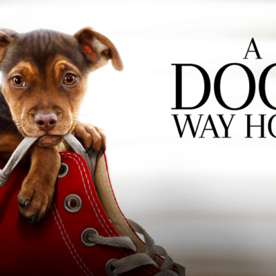 A Dog’s Way Home – Advance Screening