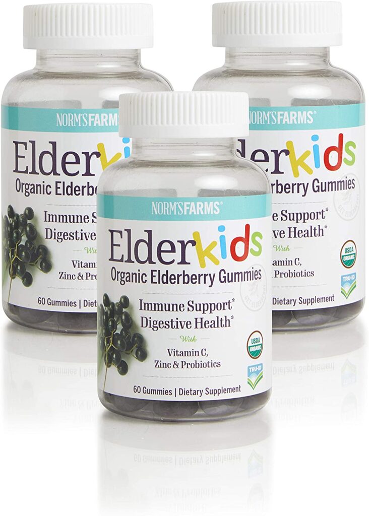 ElderKids Organic Elderberry Gummies -Kid Approved - Mom the Magnificent