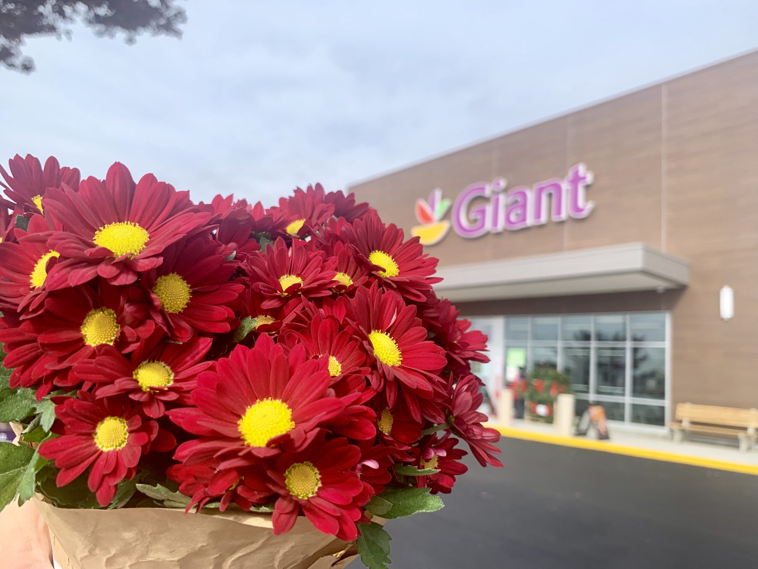 Giant Food replaces Springfield Plaza store with larger one - WTOP News
